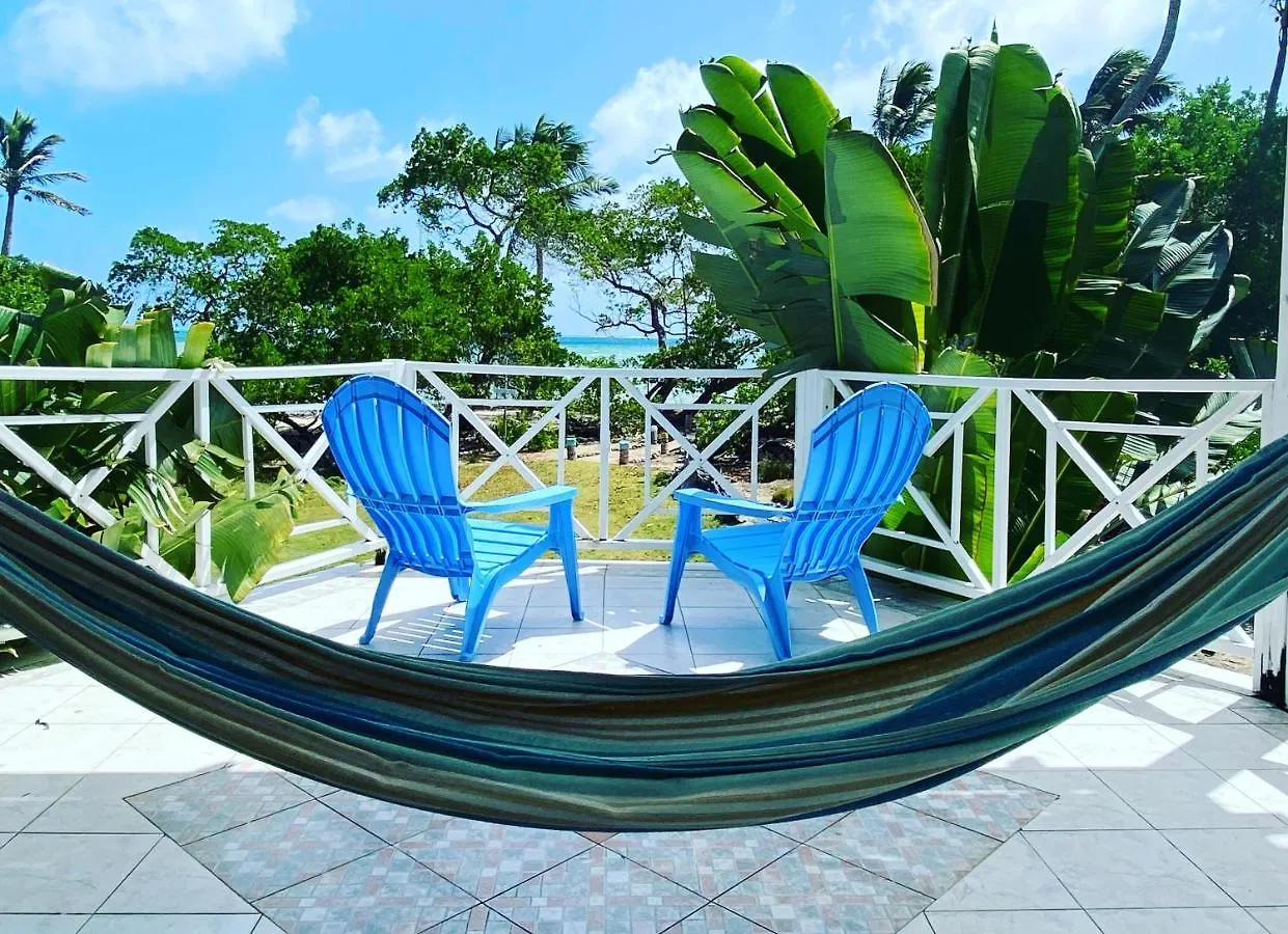 여관 Islander House On Rocky Cay Beach 호텔 San Andrés