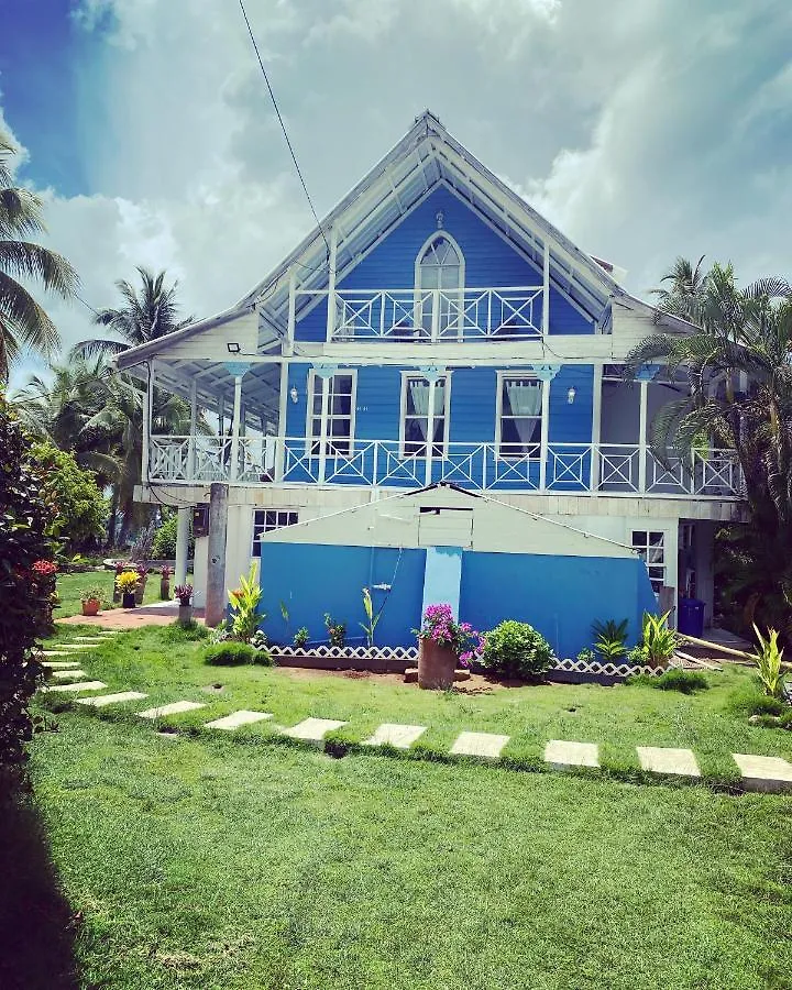 Islander House On Rocky Cay Beach 호텔 San Andrés 여관