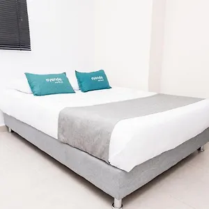 https://hostel-prado-59.hotels-in-barranquilla.com